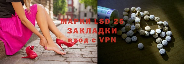 хмурый Аркадак