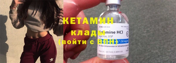 хмурый Аркадак