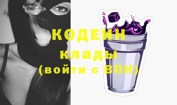 ПСИЛОЦИБИНОВЫЕ ГРИБЫ Арсеньев