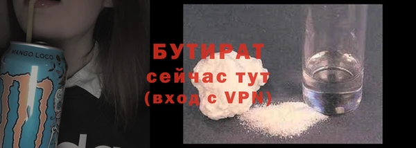 хмурый Аркадак