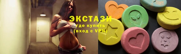 хмурый Аркадак