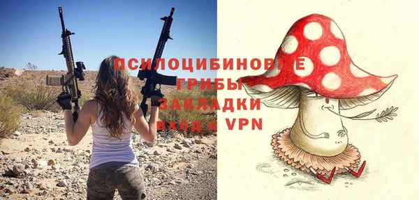 хмурый Аркадак