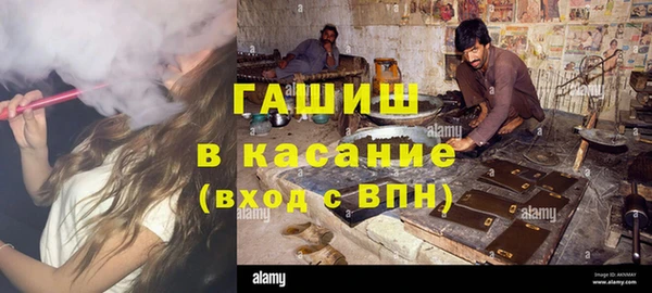 хмурый Аркадак