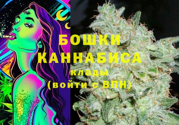 ПСИЛОЦИБИНОВЫЕ ГРИБЫ Арсеньев