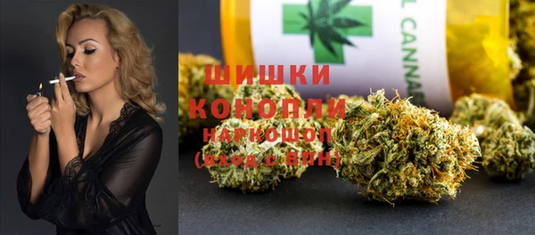 гидра Армянск