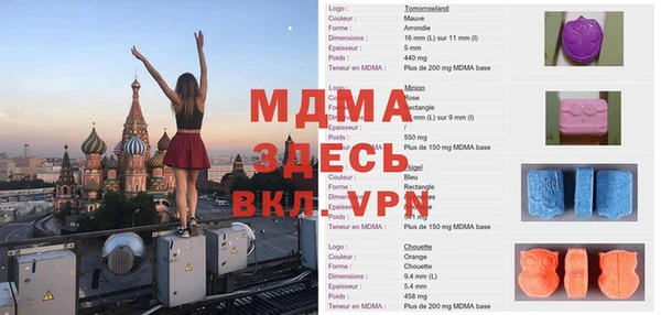 хмурый Аркадак